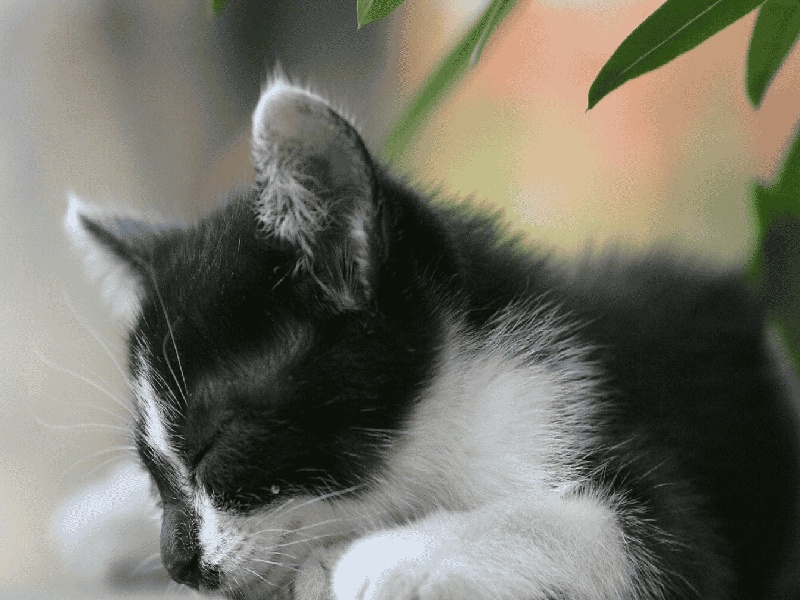 好担心试管失败(精华修护试管面膜)